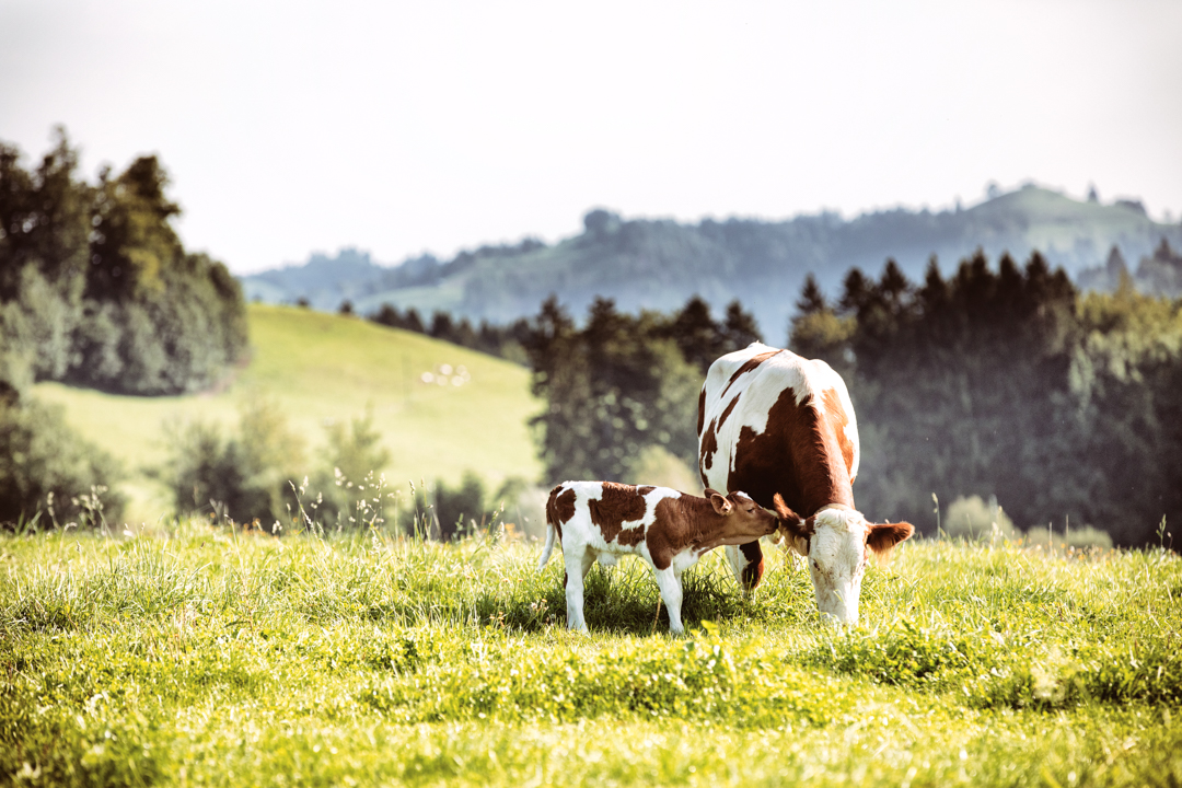 20170817 09 25 22 555096-1-s